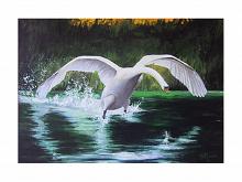 Swan gliding - GRECO Bruno - Oil