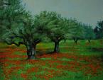 Field with olive trees and poppies - Salvatore Ruggeri - Oil