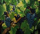 Vineyard - Salvatore Ruggeri - Oil