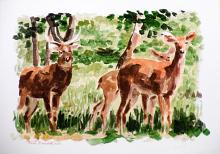 DEER - Paolo Benedetti - Acrylic - 60€