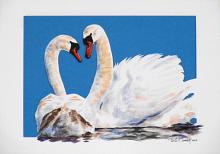 SWANS IN LOVE - Paolo Benedetti - Acrylic - 100€