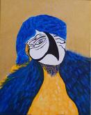 parrot man 1 - franco scacchi - Acrylic