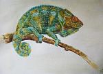 chameleon - Ruzanna Scaglione Khalatyan - Watercolor - 40 €