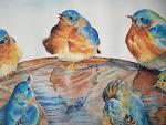 birds - Ruzanna Scaglione Khalatyan - Watercolor - 110 €