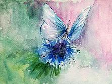   Blue spell - Carla Colombo - Watercolor - 23€