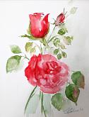   red roses for you - Carla Colombo - Watercolor - 45€