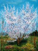  explosion of the plum blossom - Carla Colombo - Oil
