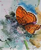 Farfalla - anna casu - Watercolor - 150€