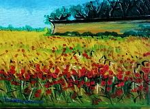 Field of poppies - Pietro Dell'Aversana - Oil