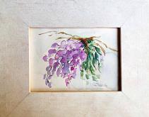  Wisteria in bloom - SPECIAL PRICE - Carla Colombo - Watercolor - 28€