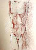  Study - male bust - Carla Colombo - Charcoal - 59€