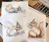  Series sketched animals 1 - Carla Colombo - watercolor and biro - 25€