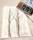  Trees - Carla Colombo - Watercolor - 49€