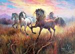 Wild horses - Domenico Ronca - Oil