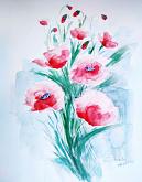  EVERY PETAL red a thank you - poppies 2 - Carla Colombo - Watercolor - €