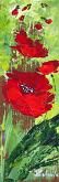  Series flower petals - red poppies 2 - Carla Colombo - Oil - €